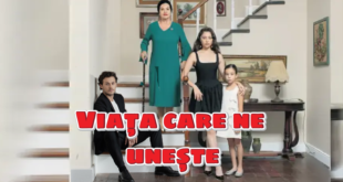 Bizi Birleştiren Hayat