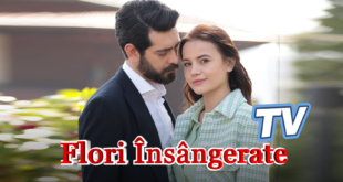 Flori Însângerate